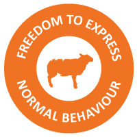 freedom-to-express-normal-behaviour.png