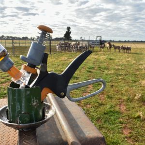 Device in holder