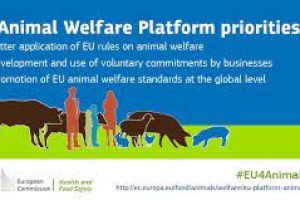 EU animal Welfare Numnuts®