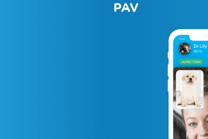 PAV header - no text2